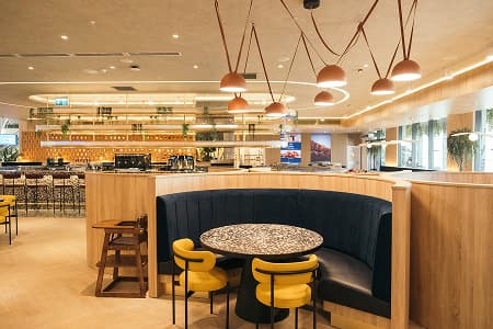 BFA'ya Genel Bakış